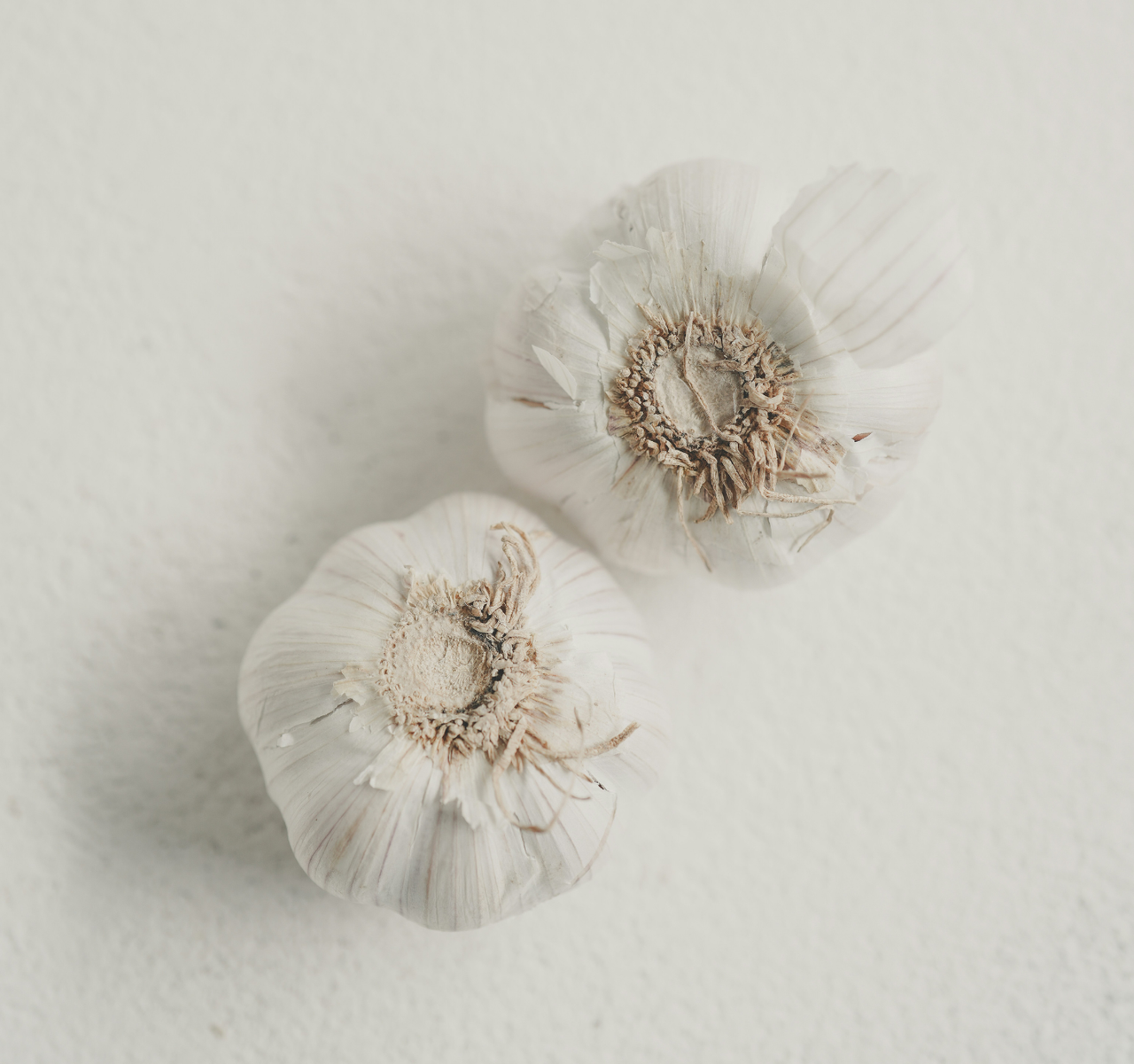 Parasiten im Körper erkennen und ganzheitlich behandeln Parasiten im Körper erkennen und ganzheitlich behandeln