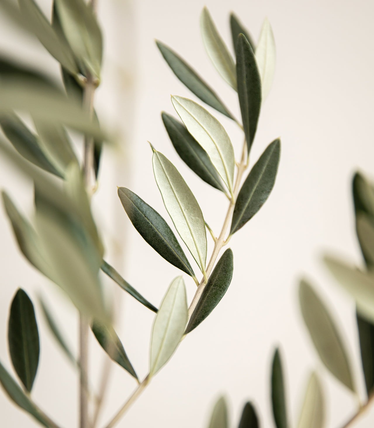 Qualität, Sicherheit & Umweltverantwortung Qualität, Sicherheit & Umweltverantwortung