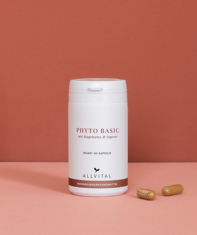 Allvital Phyto Basic mit Hagebutte und Ingwer. Hagebutte unterstützt ein gesundes Immunsystem und eine gesunde Verdauung Allvital Phyto Basic mit Hagebutte und Ingwer. Hagebutte unterstützt ein gesundes Immunsystem und eine gesunde Verdauung