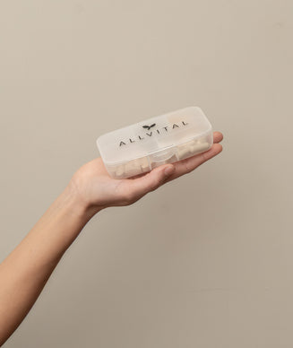 Pillendose Pillendose