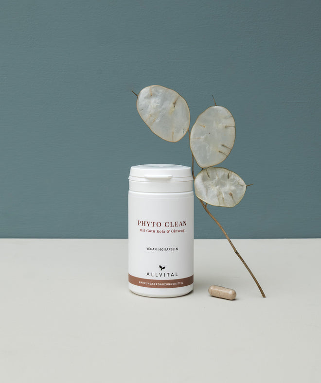 phyto_clean phyto_clean