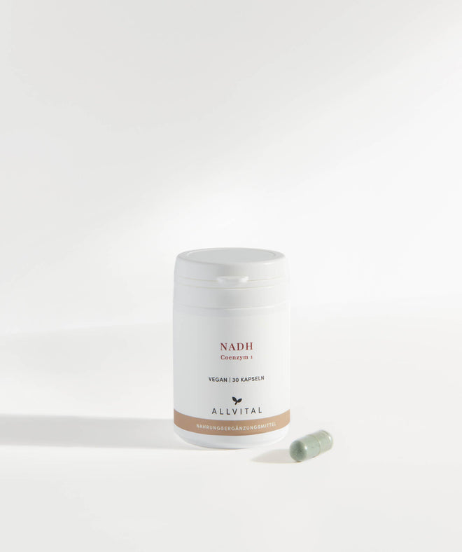 Allvital NADH enthält NADH in oxidationsgeschützter Form für die Energieproduktion. NADH ist die aktive Coenzym Form des Vitamins B3 und wird auch Coenzym 1 genannt. Allvital NADH enthält NADH in oxidationsgeschützter Form für die Energieproduktion. NADH ist die aktive Coenzym Form des Vitamins B3 und wird auch Coenzym 1 genannt.