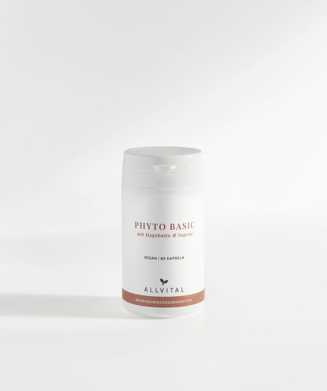 Allvital Phyto Basic mit Hagebutte und Ingwer. Hagebutte unterstützt ein gesundes Immunsystem und eine gesunde Verdauung Allvital Phyto Basic mit Hagebutte und Ingwer. Hagebutte unterstützt ein gesundes Immunsystem und eine gesunde Verdauung