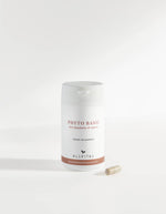 Allvital Phyto Basic mit Hagebutte und Ingwer. Hagebutte unterstützt ein gesundes Immunsystem und eine gesunde Verdauung Allvital Phyto Basic mit Hagebutte und Ingwer. Hagebutte unterstützt ein gesundes Immunsystem und eine gesunde Verdauung