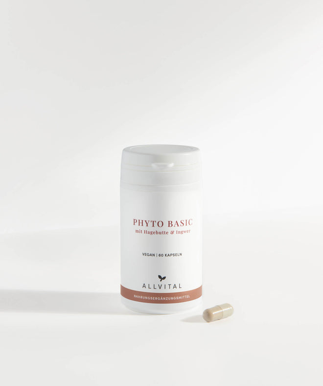 Allvital Phyto Basic mit Hagebutte und Ingwer. Hagebutte unterstützt ein gesundes Immunsystem und eine gesunde Verdauung Allvital Phyto Basic mit Hagebutte und Ingwer. Hagebutte unterstützt ein gesundes Immunsystem und eine gesunde Verdauung