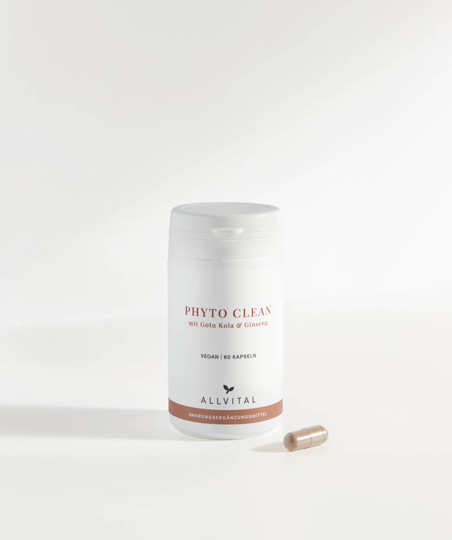 Allvital Phyto Clean enthält adaptogene Pflanzen wie Gotu Kola und Ginseng, welche immunstärkend wirken und die geistige Leistungsfähigkeit und Konzentration verbessern.  Allvital Phyto Clean enthält adaptogene Pflanzen wie Gotu Kola und Ginseng, welche immunstärkend wirken und die geistige Leistungsfähigkeit und Konzentration verbessern.