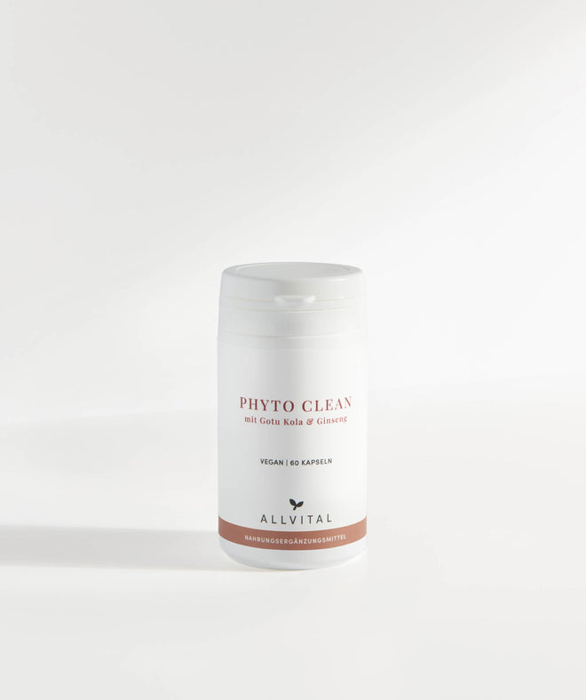 Allvital Phyto Clean enthält adaptogene Pflanzen wie Gotu Kola und Ginseng, welche immunstärkend wirken und die geistige Leistungsfähigkeit und Konzentration verbessern. Allvital Phyto Clean enthält adaptogene Pflanzen wie Gotu Kola und Ginseng, welche immunstärkend wirken und die geistige Leistungsfähigkeit und Konzentration verbessern.