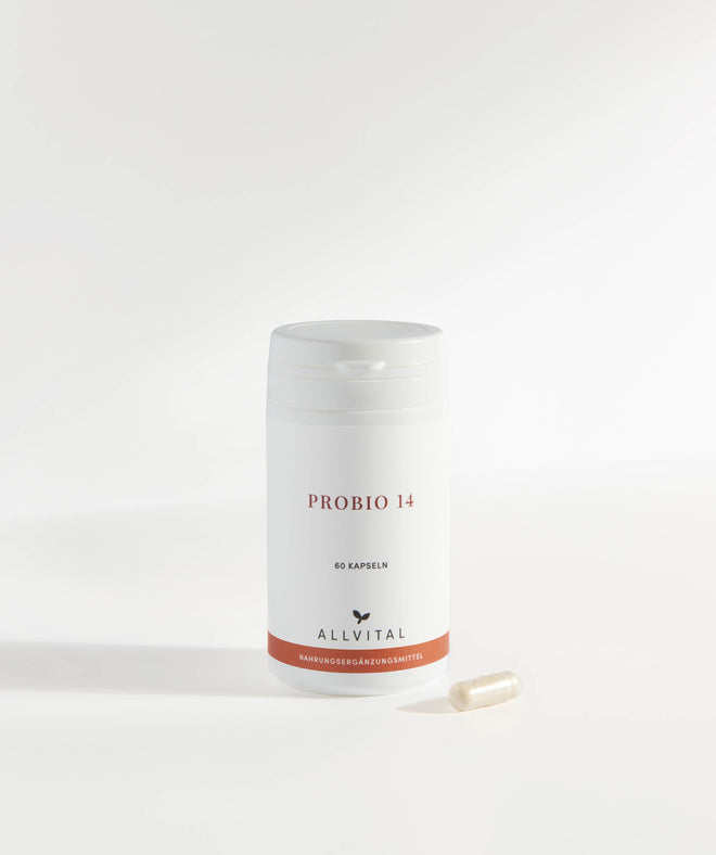 Allvital ProBio 14 enthält 14 natürlichen Bakterienkulturen (Laktobazillen und Bifidobakterien) und Präbiotika zur Unterstützung einer gesunden Darmflora. Allvital ProBio 14 enthält 14 natürlichen Bakterienkulturen (Laktobazillen und Bifidobakterien) und Präbiotika zur Unterstützung einer gesunden Darmflora.