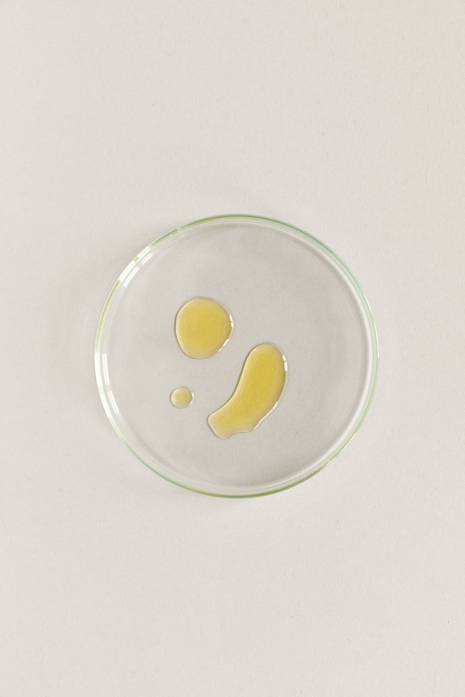 Omega-3-Fettsäuren zur Steigerung der Mikronährstoffaufnahme?