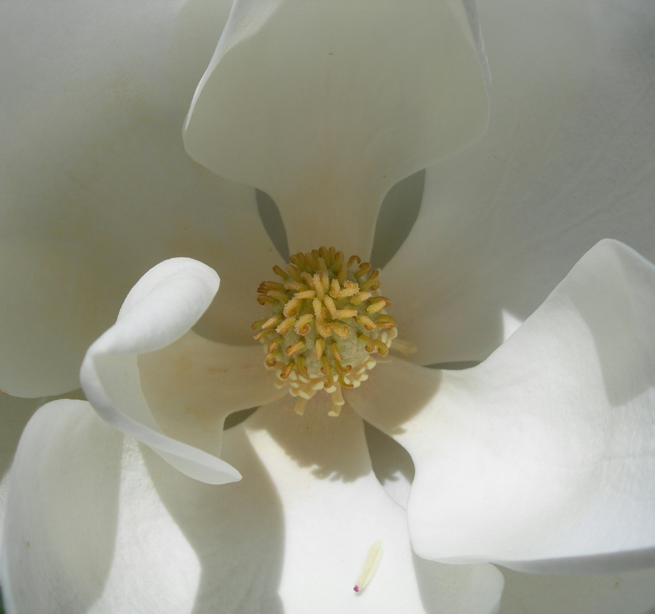 10 Tipps für gesunde Schleimhäute