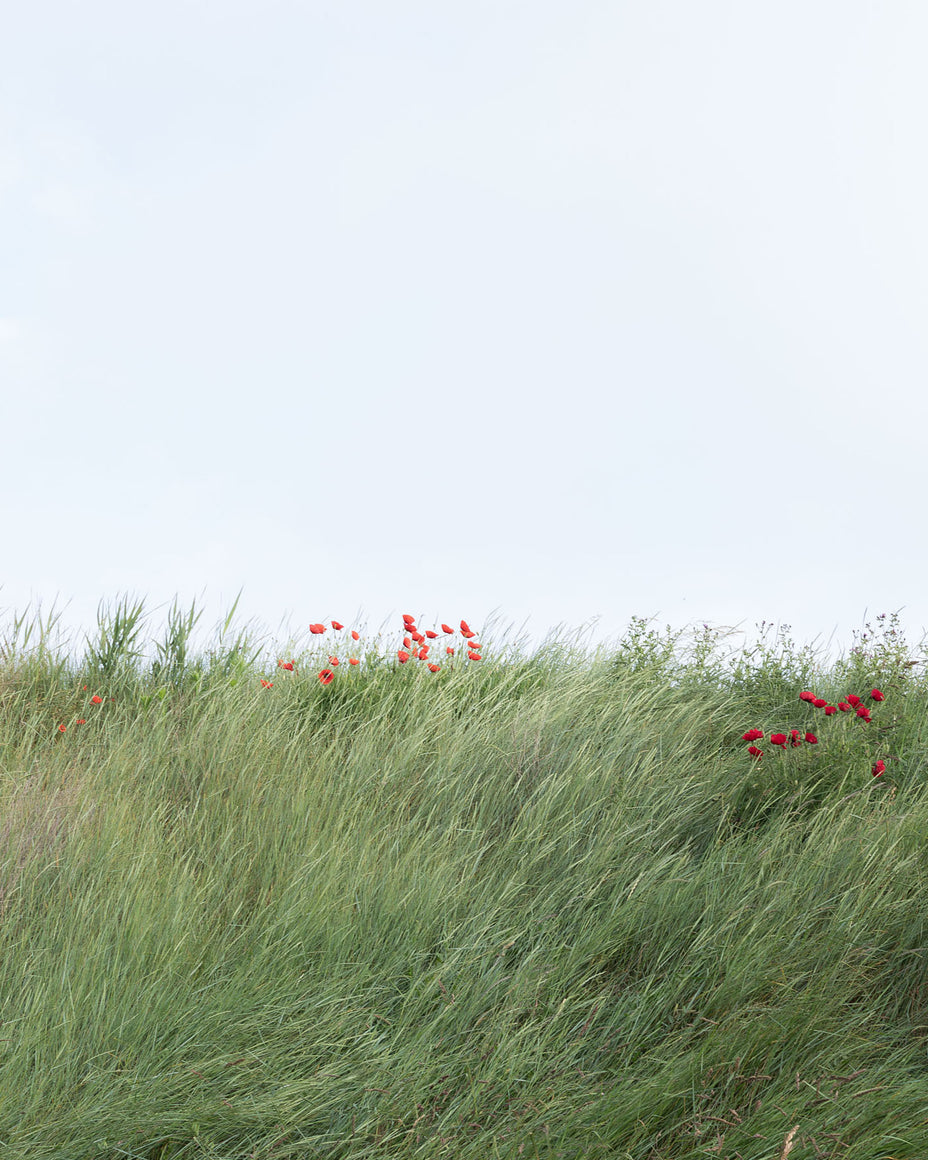 Frühling: Zeckenzeit und Gesundheitsrisiken