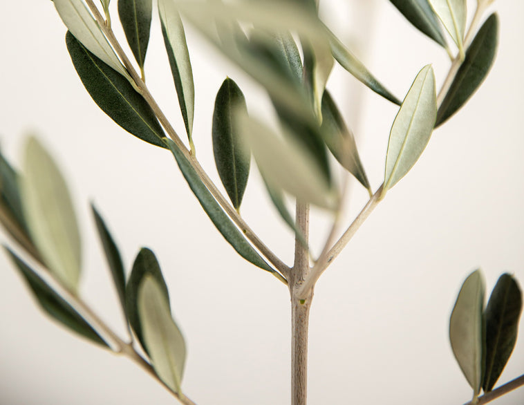 Weitere Nahrungsergänzungen