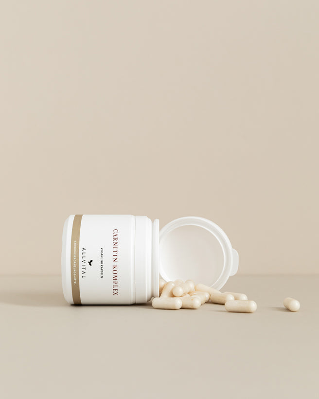 Allvital Carnitin Komplex enthält L-Carnitintartrat für eine optimale Magen-Darm-Verträglichkeit. Zusätzlich ist Vitamin C, Vitamin B3 und Vitamin B6 enthalten.