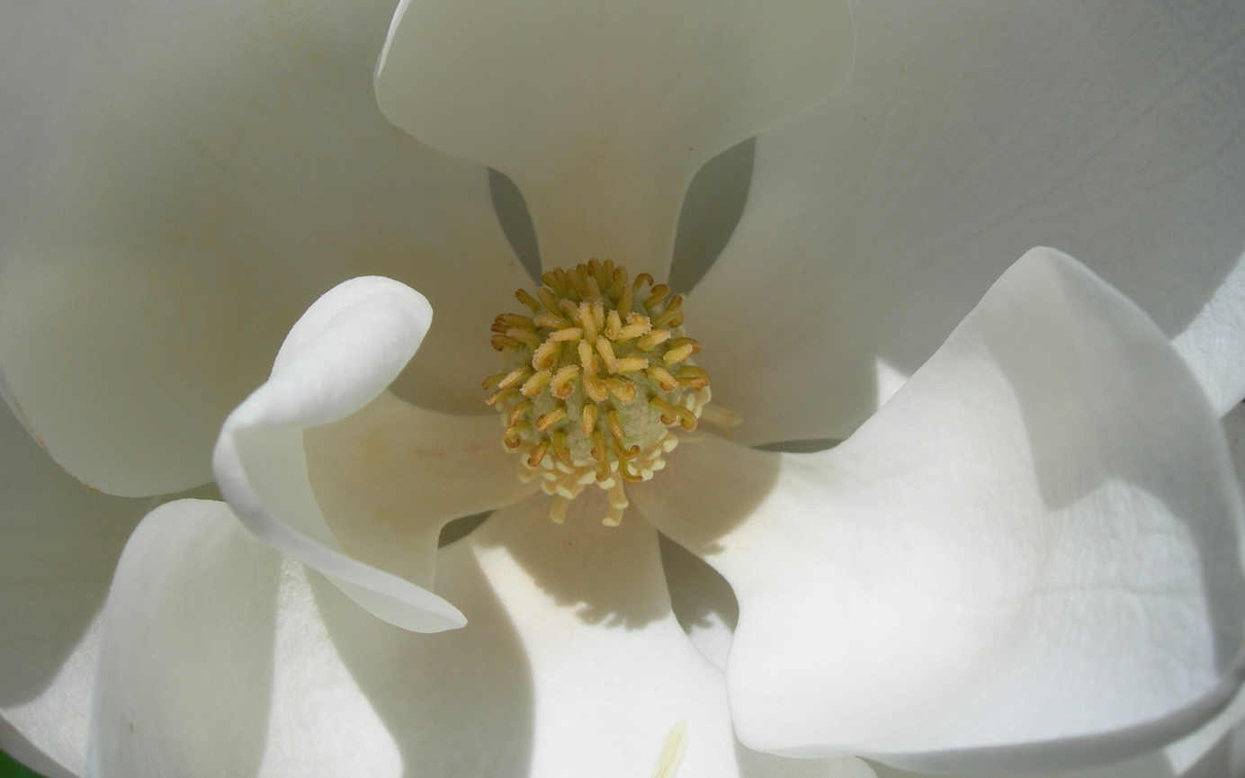 10 Tipps für gesunde Schleimhäute