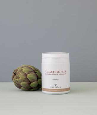 Galaktose Plus