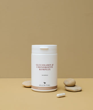 Glucosamin & Chondroitin Komplex