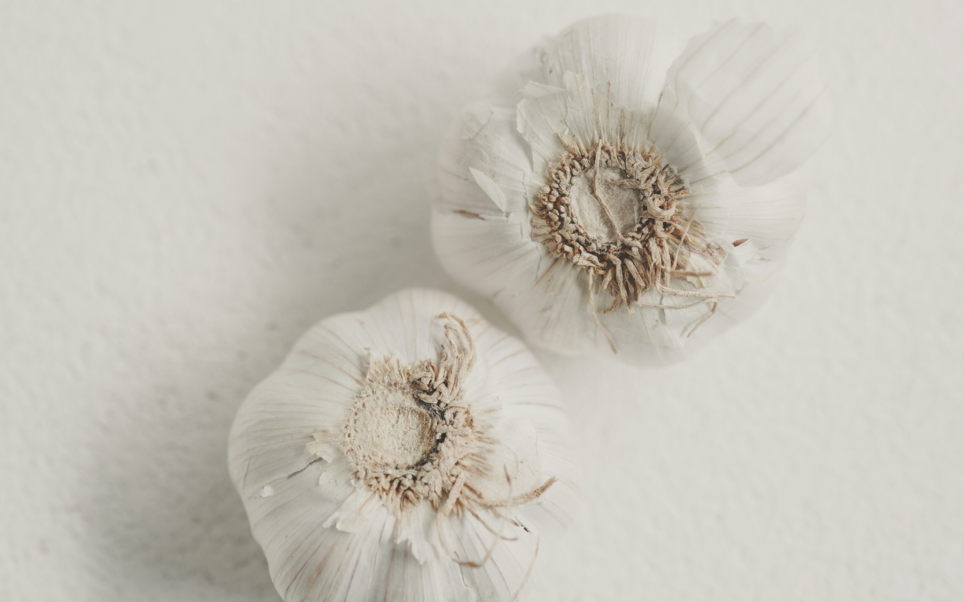 Parasiten im Körper erkennen und ganzheitlich behandeln