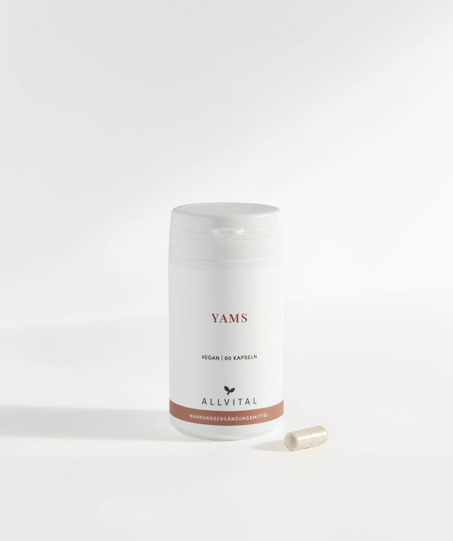 Allvital Yams vegan enthält Yamswurzelextrakt und Yamswurzelpulver mit hohem Diosgeningehalt. Zur Unterstützung bei Wechseljahresbeschwerden.